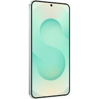 Samsung Galaxy S25 SM-S931N 12GB/512GB (мятный) Image #4
