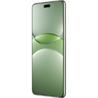 Huawei nova 13 Pro MIS-LX9 12GB/256GB (дымчатый зеленый) Image #4