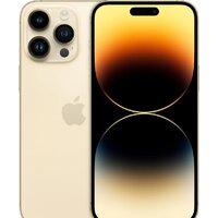 Apple iPhone 14 Pro Max 1TB (золотистый)