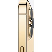 Apple iPhone 13 Pro Max 128GB (золотой) Image #5