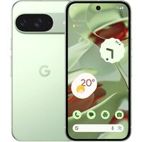 Google Pixel 9 12GB/256GB (винтергрин) Image #1